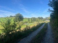 Bild (2ec1073e1a93e5b1881bad754592964c): Idyllisches Grundst�ck in Haselbach!