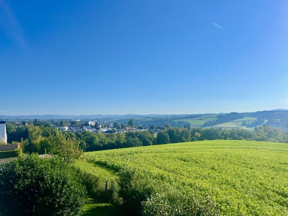 Ausblick von Terrasse Penthousewohnung Passau