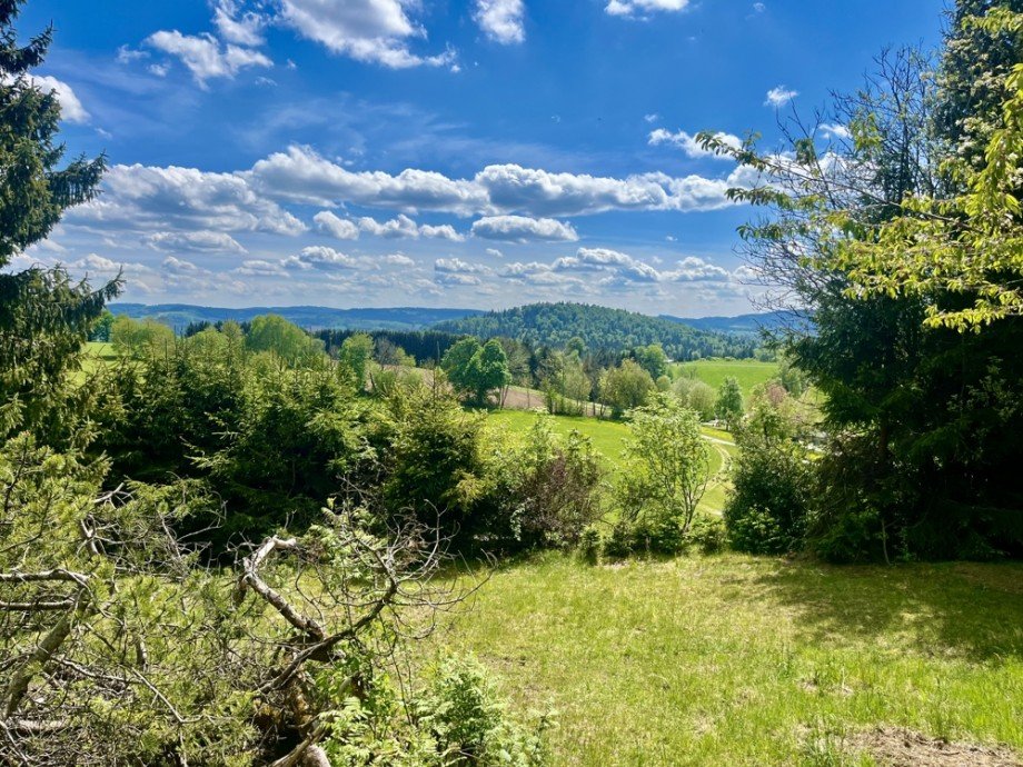 Ausblick von Terrasse Einfamilienhaus Neureichenau
