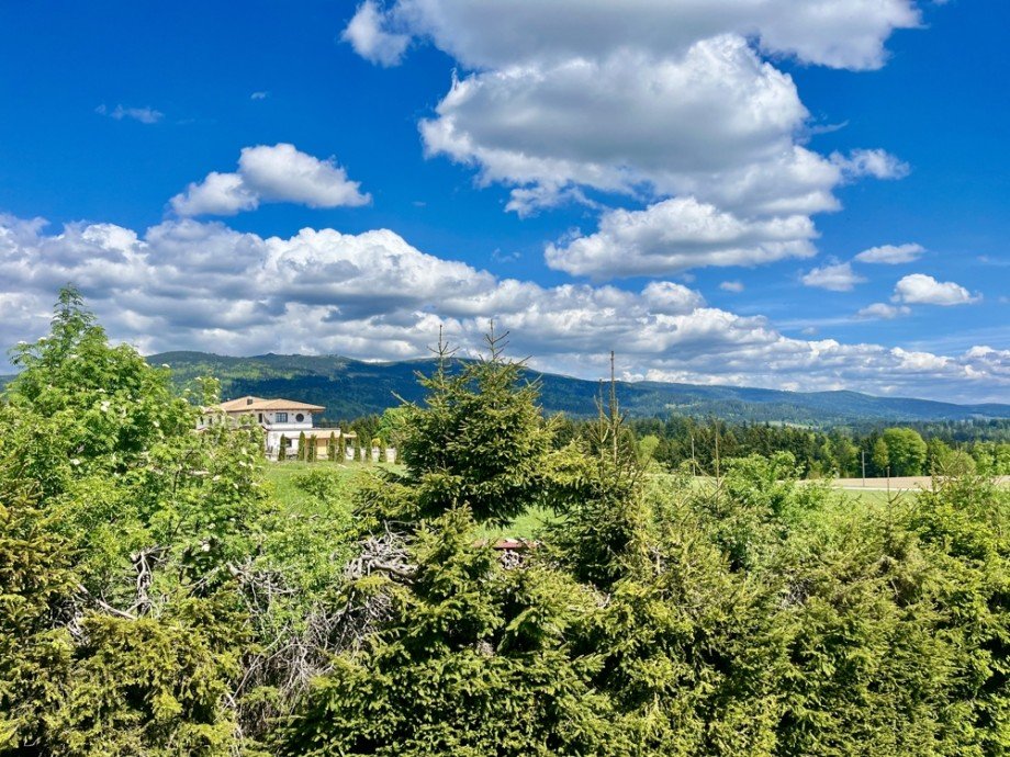 Ausblick von Balkon Einfamilienhaus Neureichenau