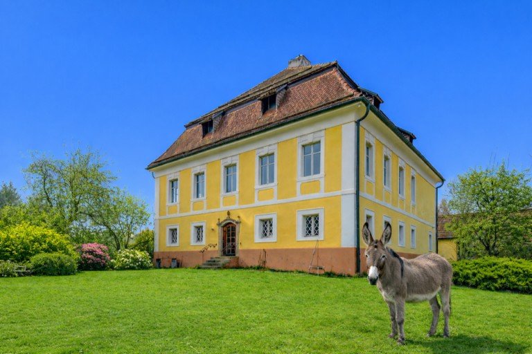 Hatz & Team Immobilien GmbH Neukirchen vorm Wald Mehrfamilienhaus Einzigartiges Wohn-Unikat f�r Individualisten!