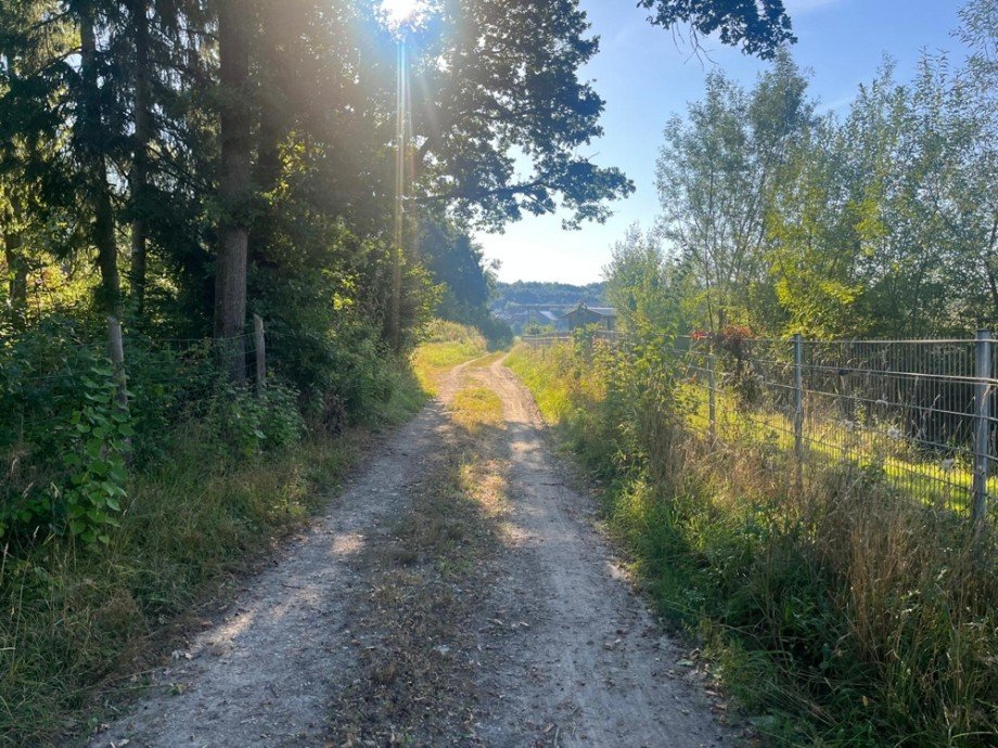 Zufahrt Wohngrundst�ck Tiefenbach
