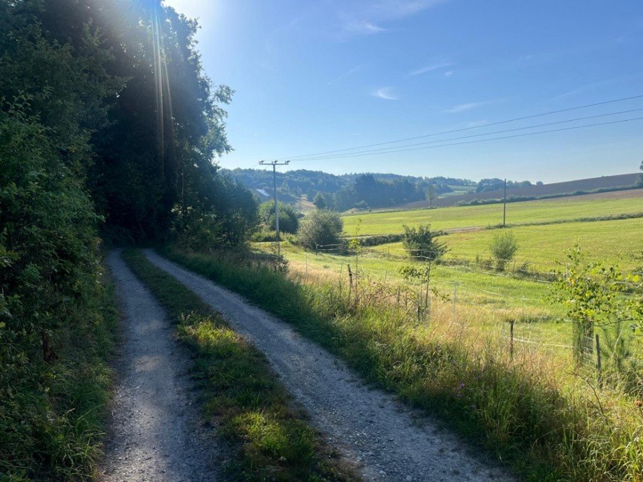Zufahrt Wohngrundst�ck Tiefenbach